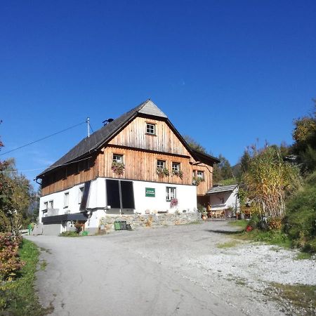 Landhaus Gschmeidler Selzthal Exterior photo